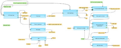 Analyze-SNP-list-TRANSFAC-R-workflow-overview.png