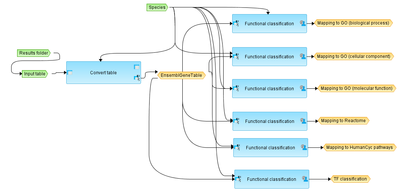 Mapping-to-ontologies-Gene-table-workflow-overview.png