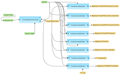 Cross-species-mapping-to-ontologies-using-orthologue-information-HumanPSD-TM-workflow-overview.png